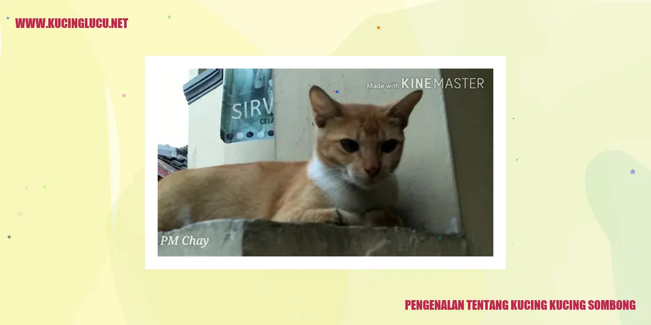Kucing Sombong