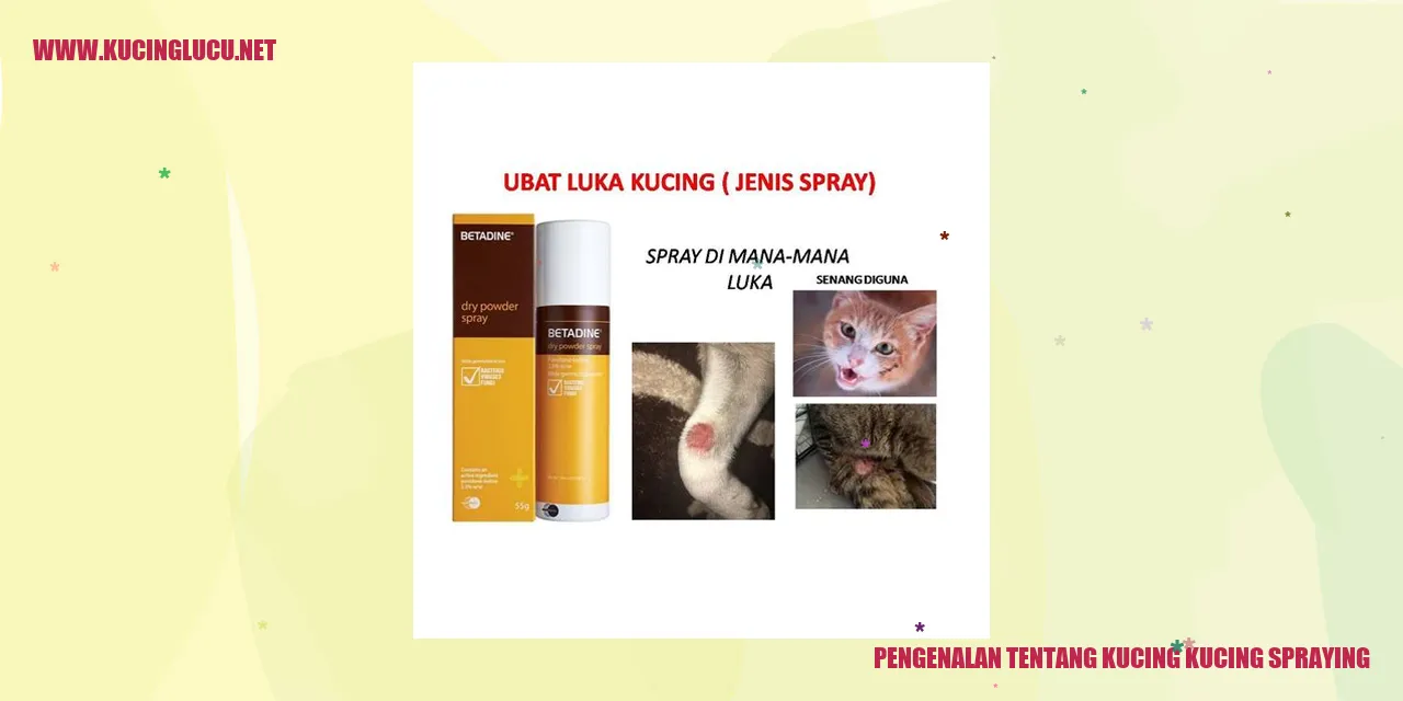 Kucing Mengspray
