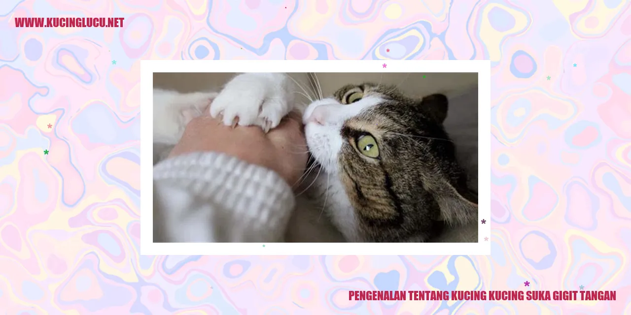 Kucing suka gigit tangan