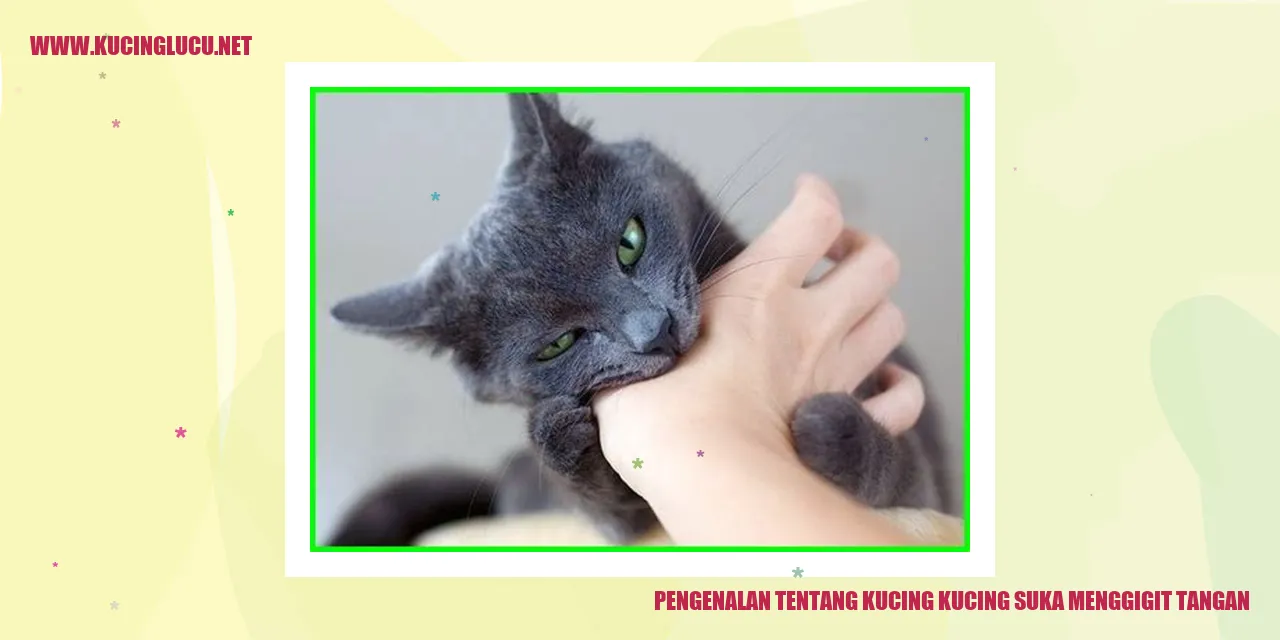 Kucing menggigit tangan