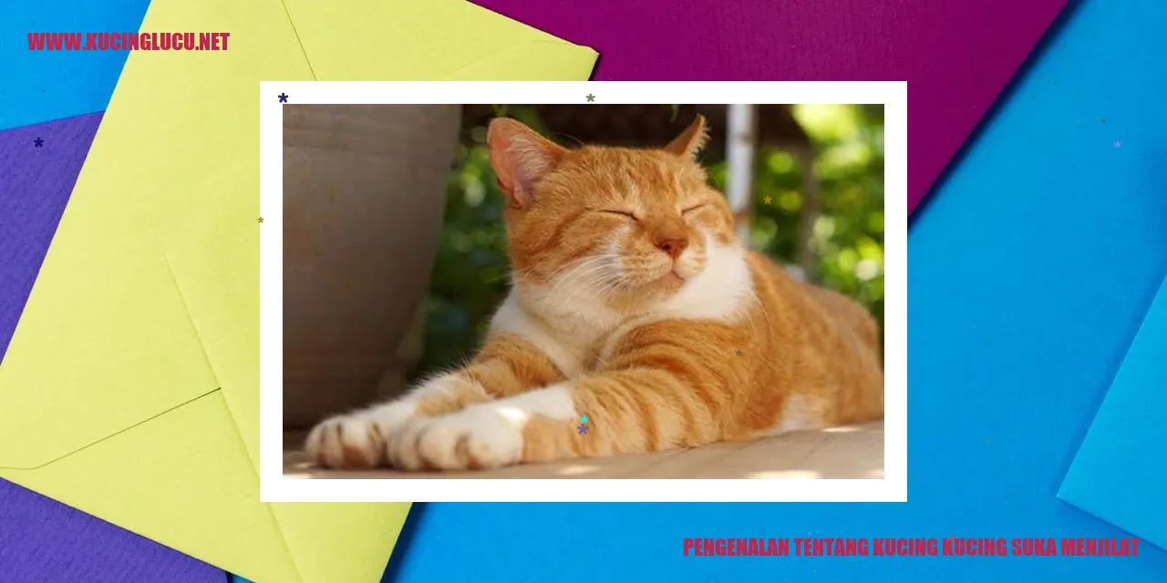 Kucing menjilat