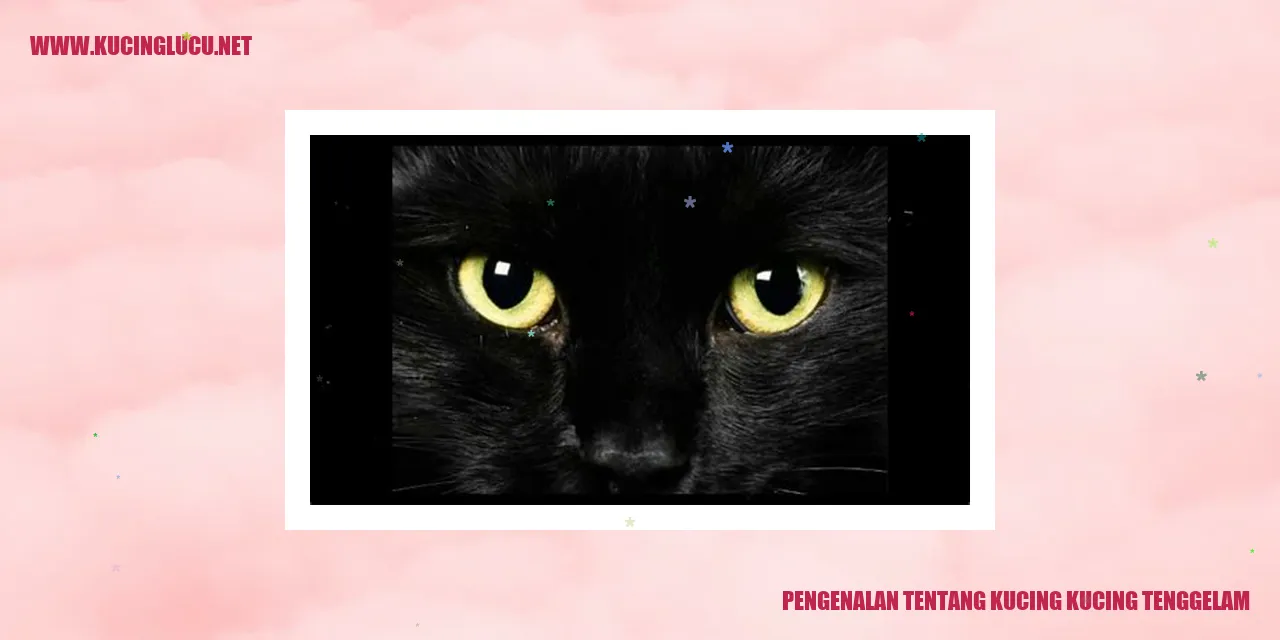 Kucing kucing tenggelam