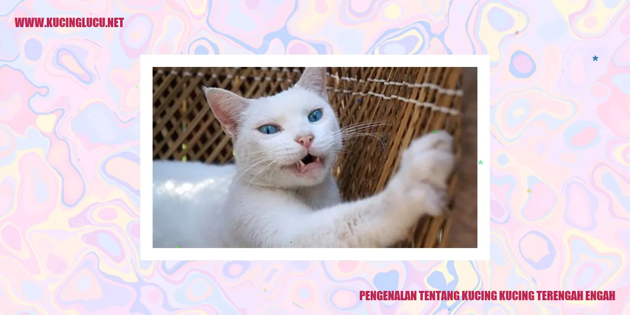 Kucing-kucing Lucu Berjalan Terengah-engah