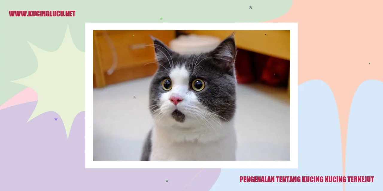 Kucing Terkejut