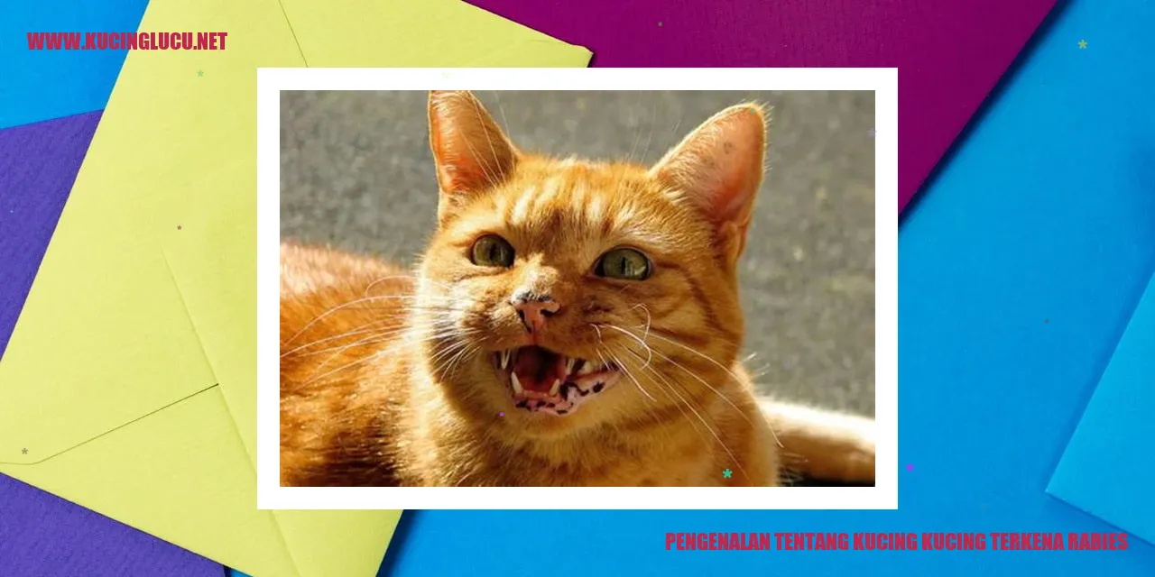 Gambar Kucing Terkena Rabies