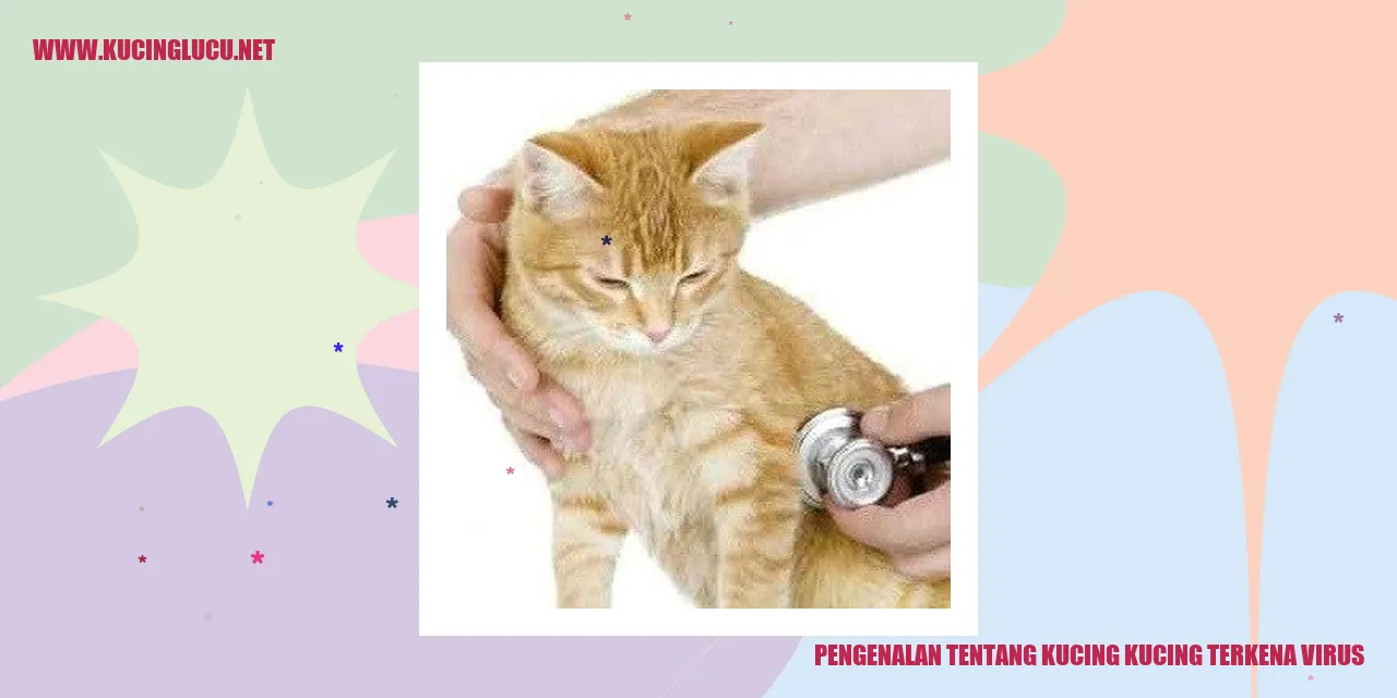 Kucing Terkena Virus