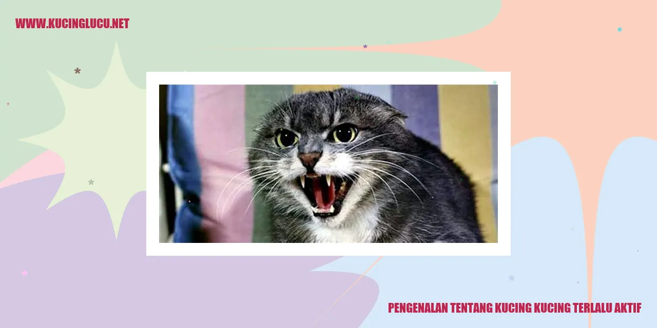 Kucing aktif
