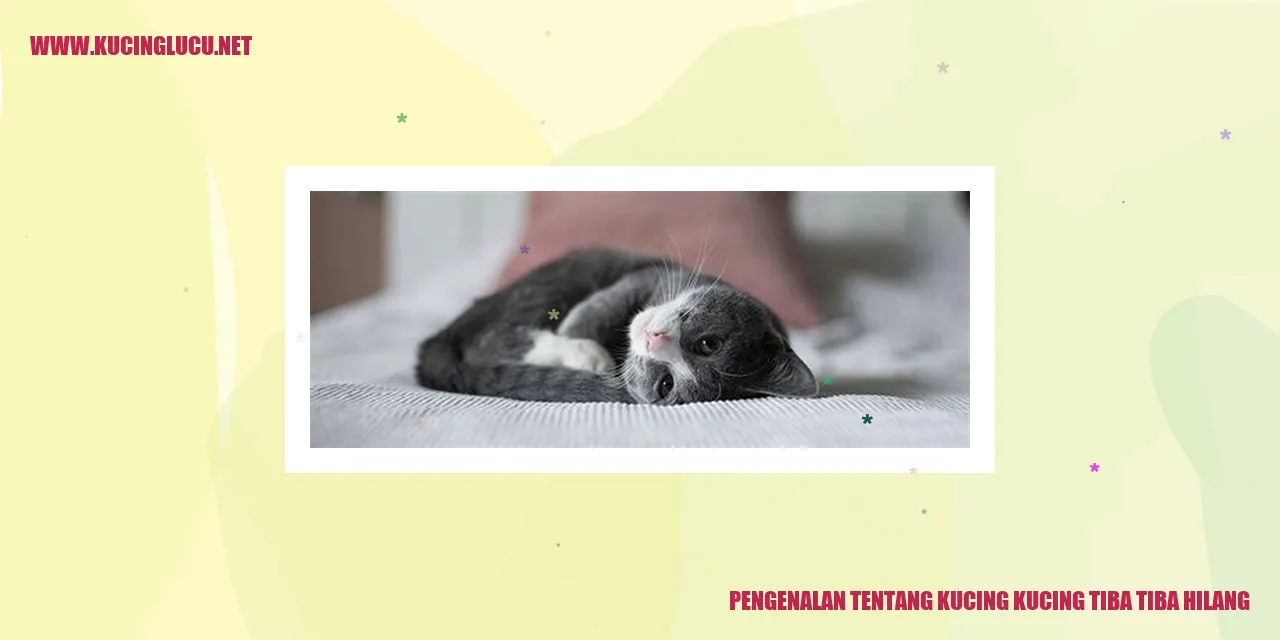 Gambar Kucing
