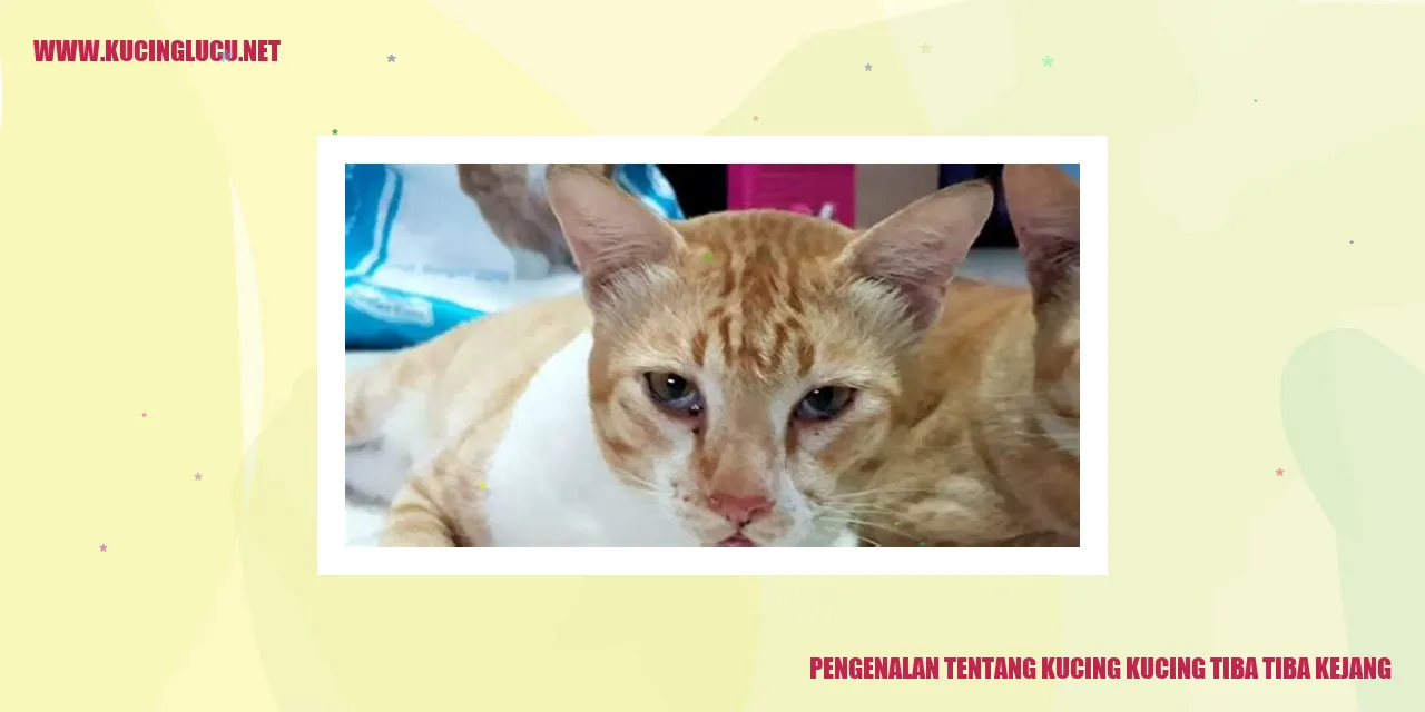 Kucing Kejang