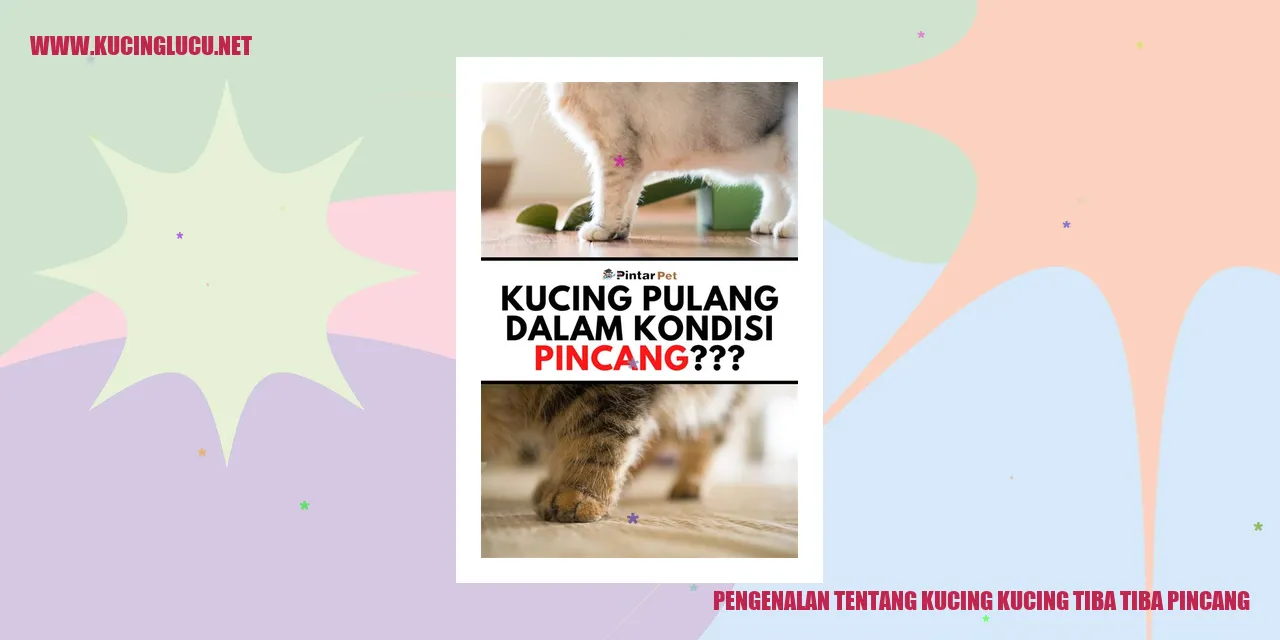 Gambar Kucing