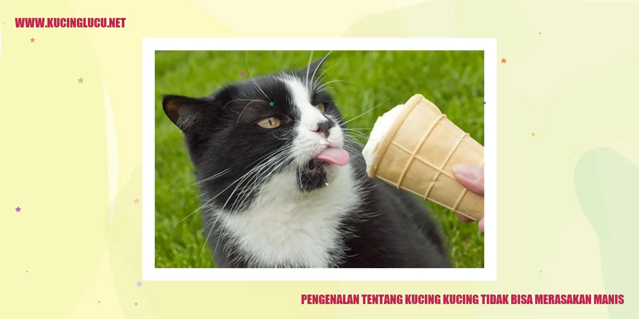 Gambar Kucing yang Lucu