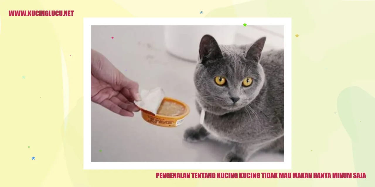 Kucing yang Enggan Makan Namun Aktif Minum