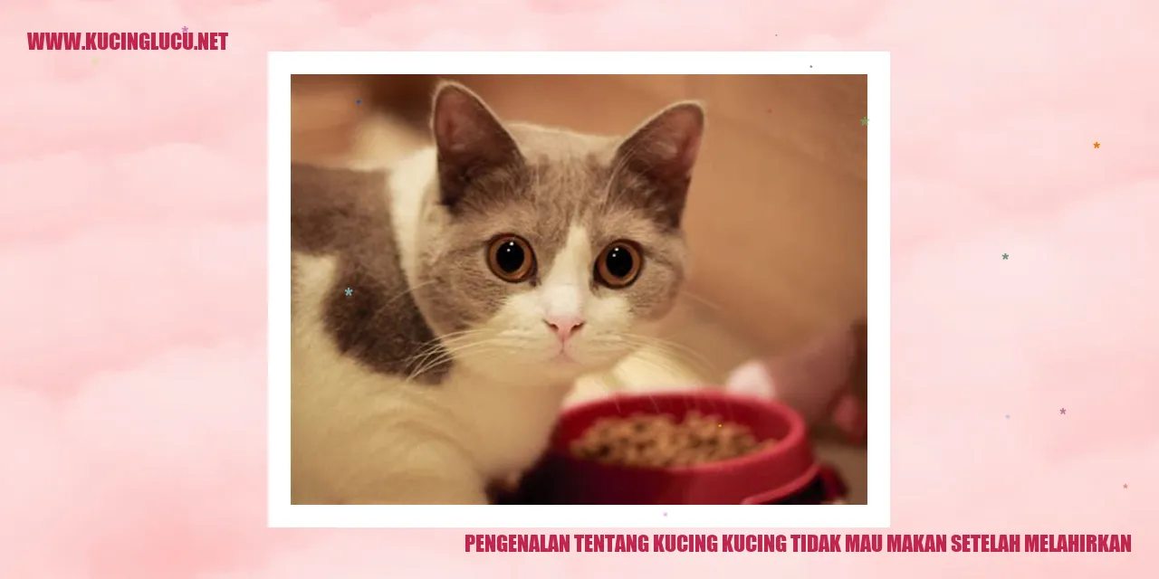 Gambar kucing sedang dalam proses melahirkan