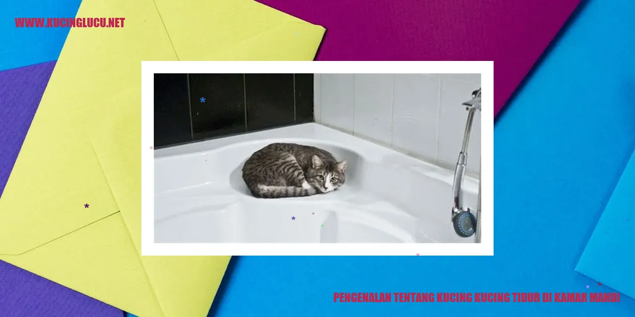 Kucing tidur di kamar mandi