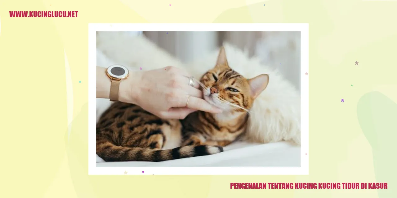 Gambar Kucing Tidur di Kasur