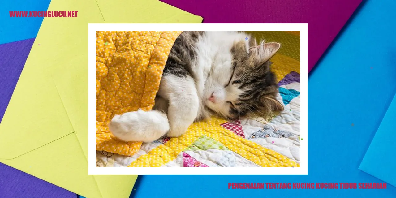 Ilustrasi Kucing Tidur