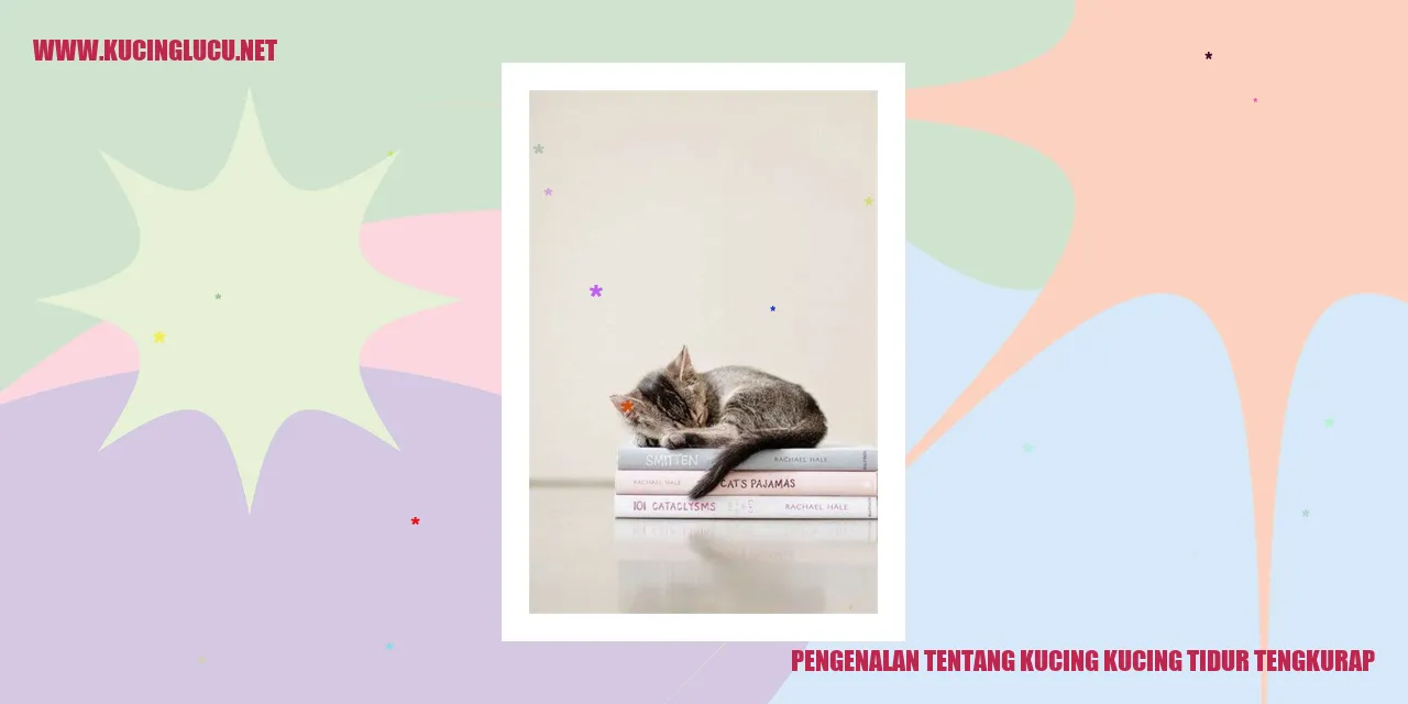 Kucing tidur tengkurap