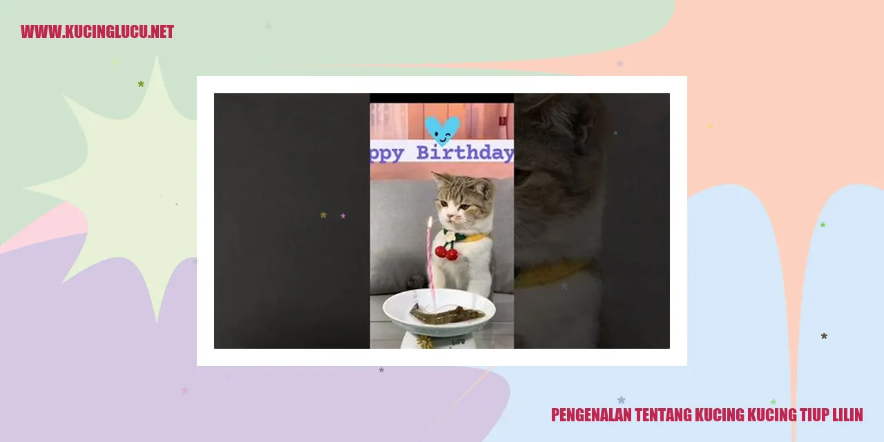 Seekor kucing sedang meniup lilin