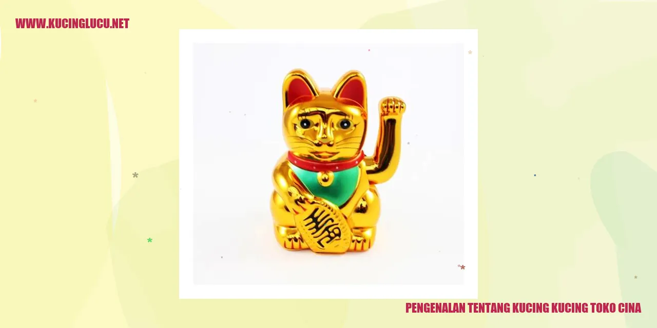 Kucing toko cina