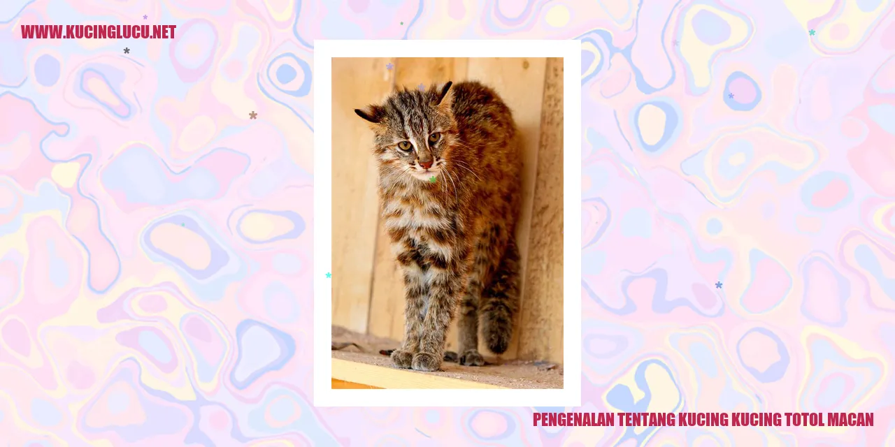 Gambar Kucing Totol Macan