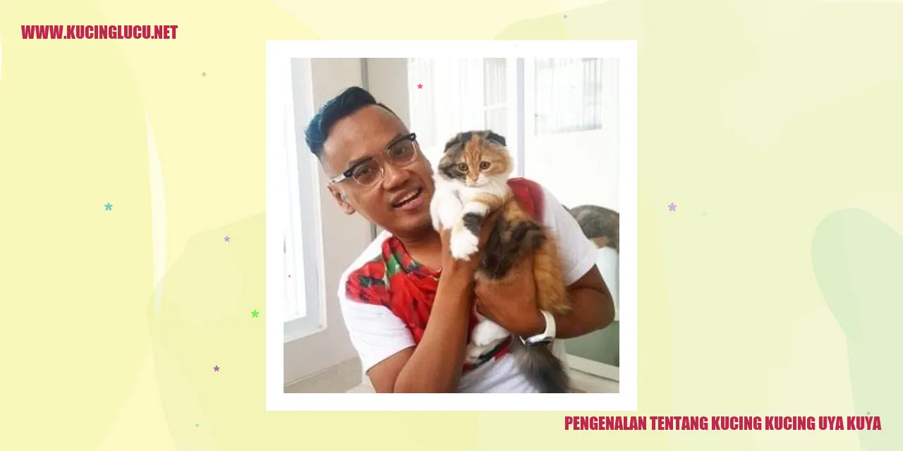 Kucing Uya Kuya