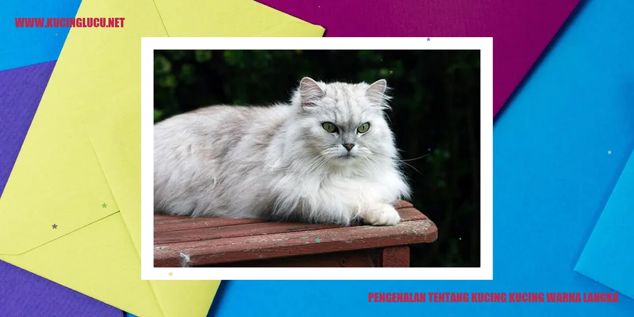 Kucing warna langka