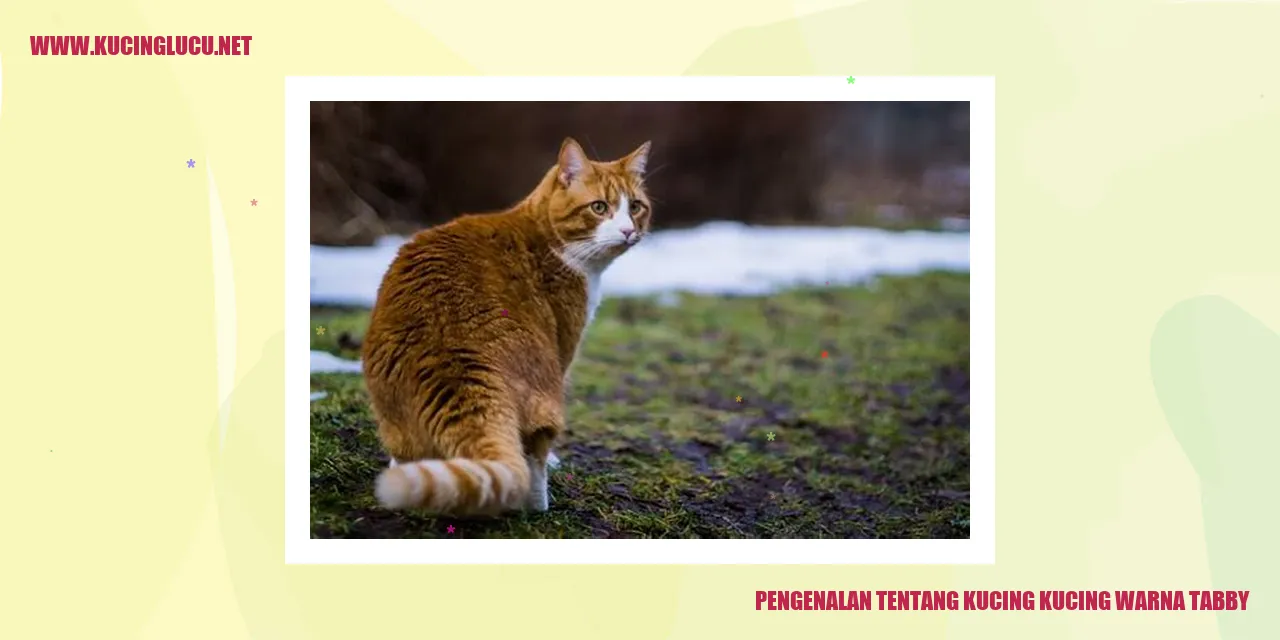 Kucing warna tabby