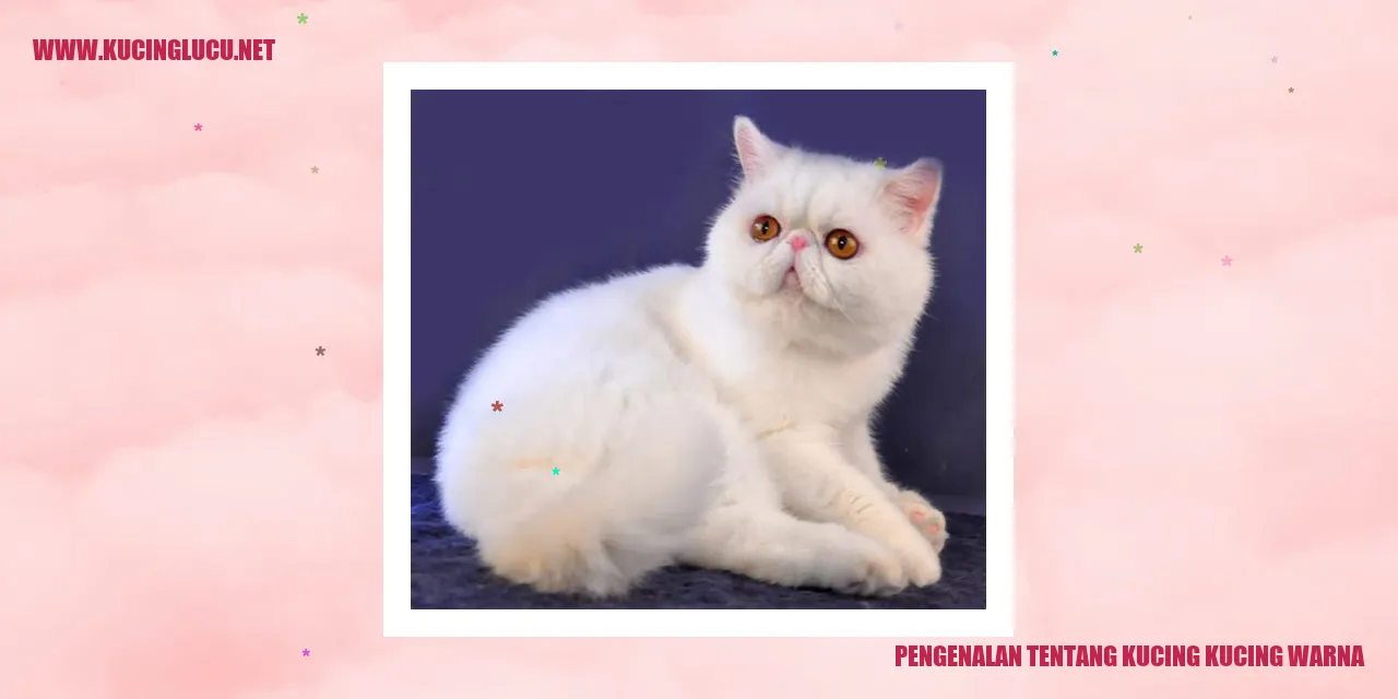 Kucing Warna