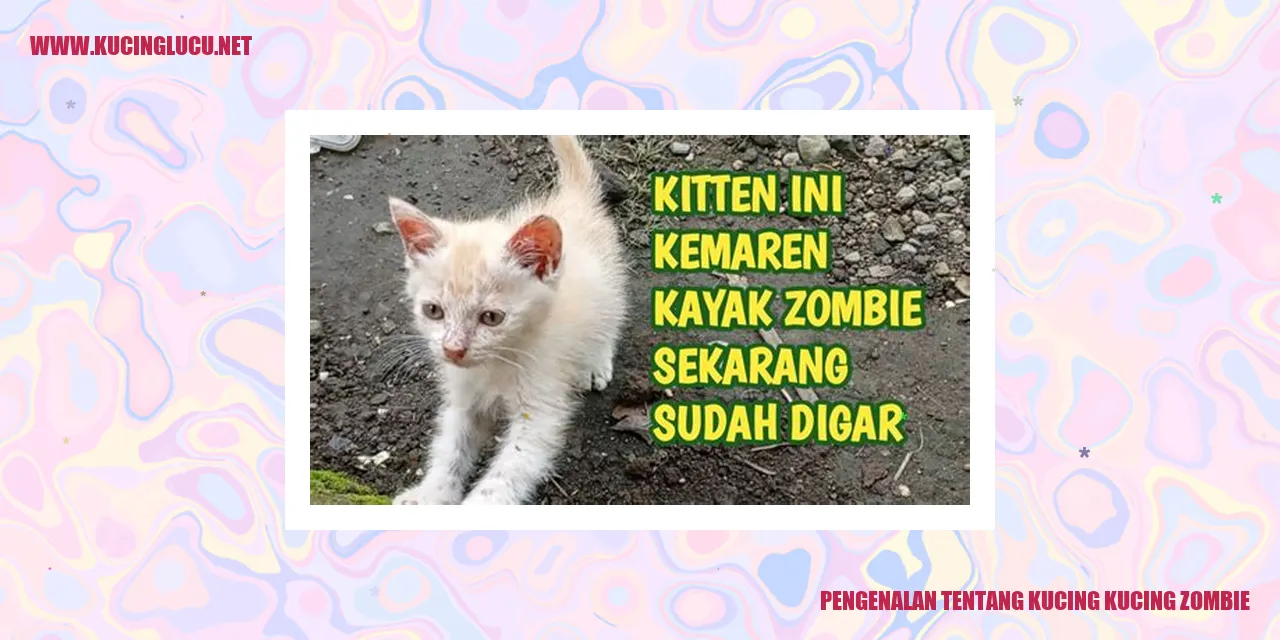 Gambar Kucing-Kucing Zombie