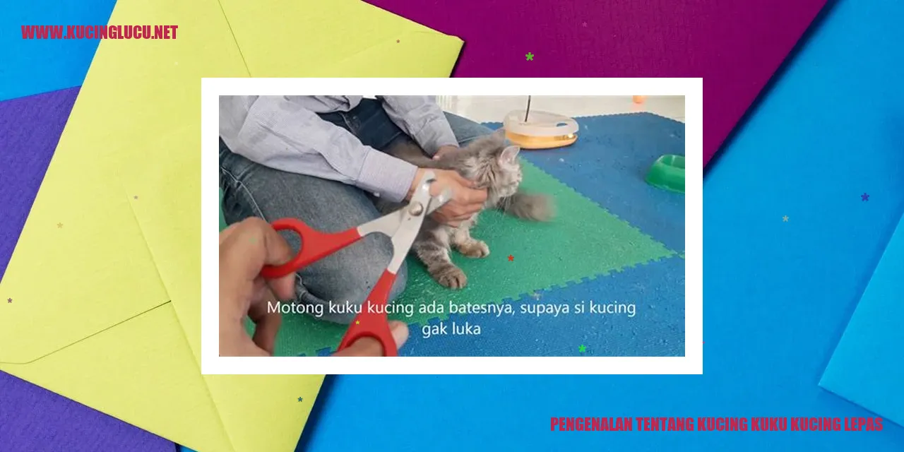 Kucing Kuku Kucing Lepas