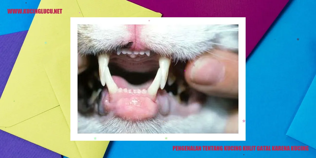 Gambar Kucing