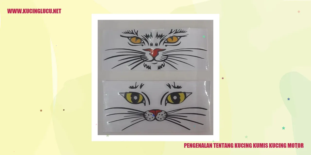 Kucing Kumis Kucing Motor