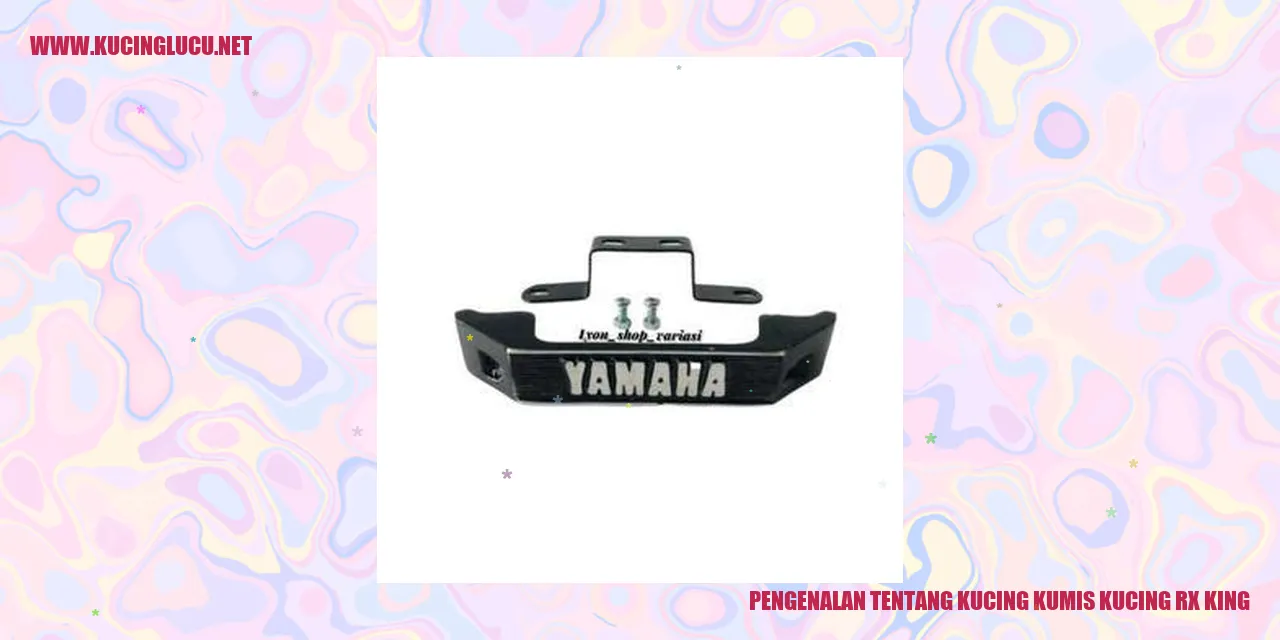 Kucing Kumis Kucing RX King
