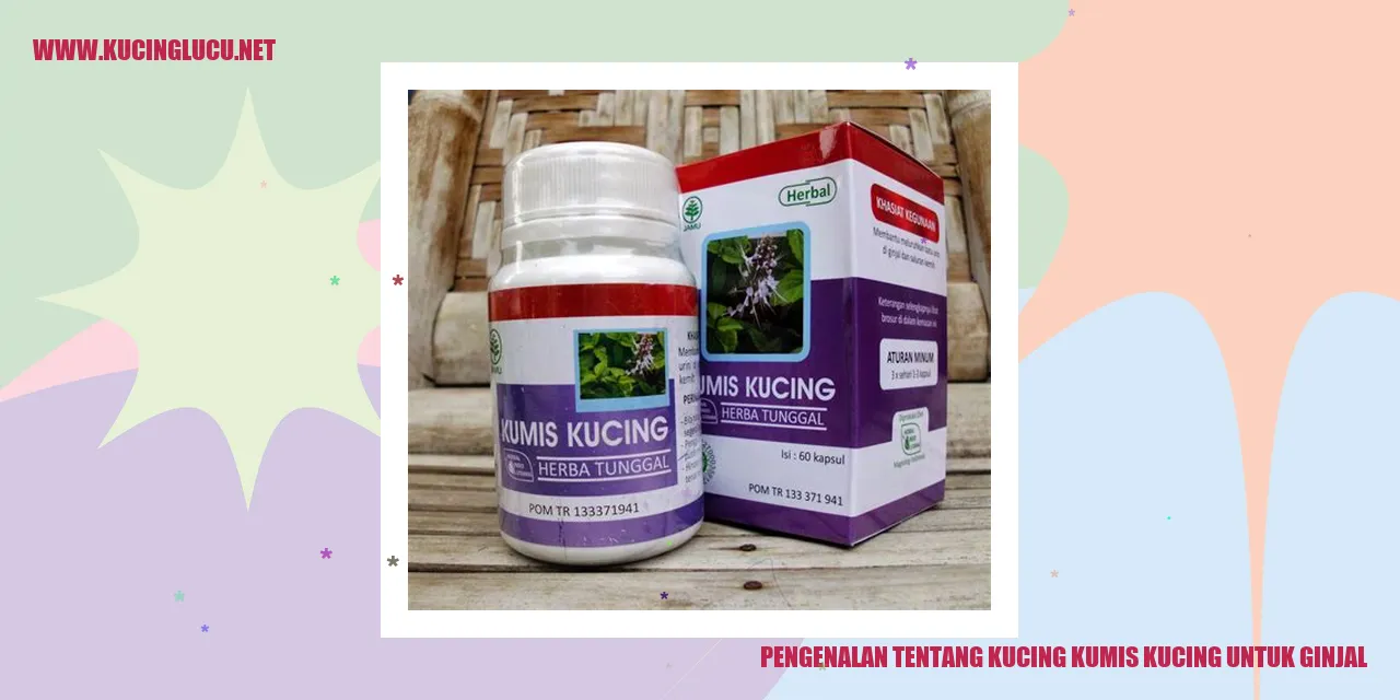 Kucing Kumis