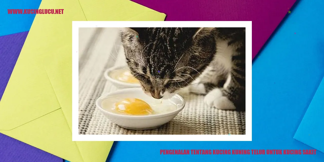 Kucing Kuning Telur