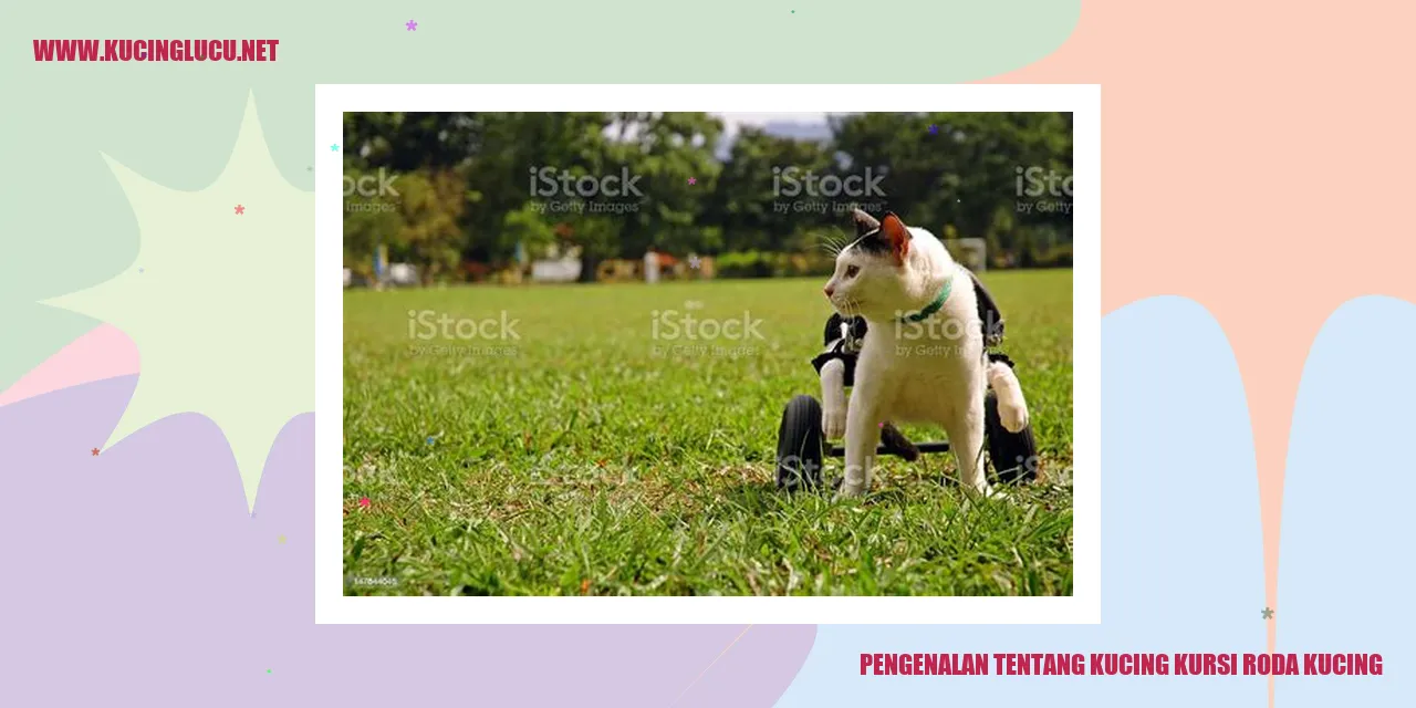 Kucing Kursi Roda