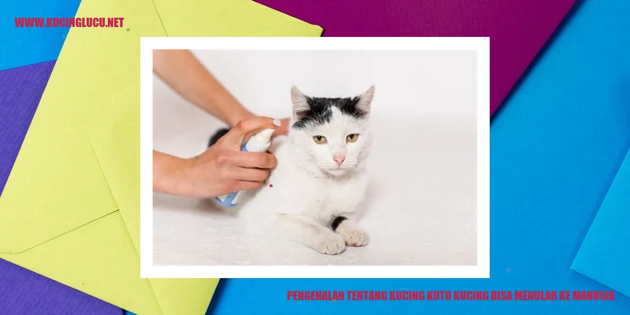 Kucing dan Kutu Kucing