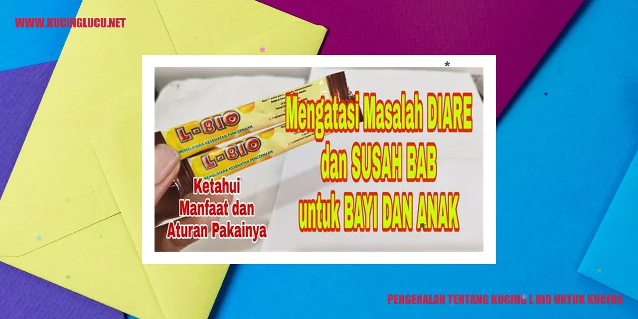 Kucing yang menggemaskan