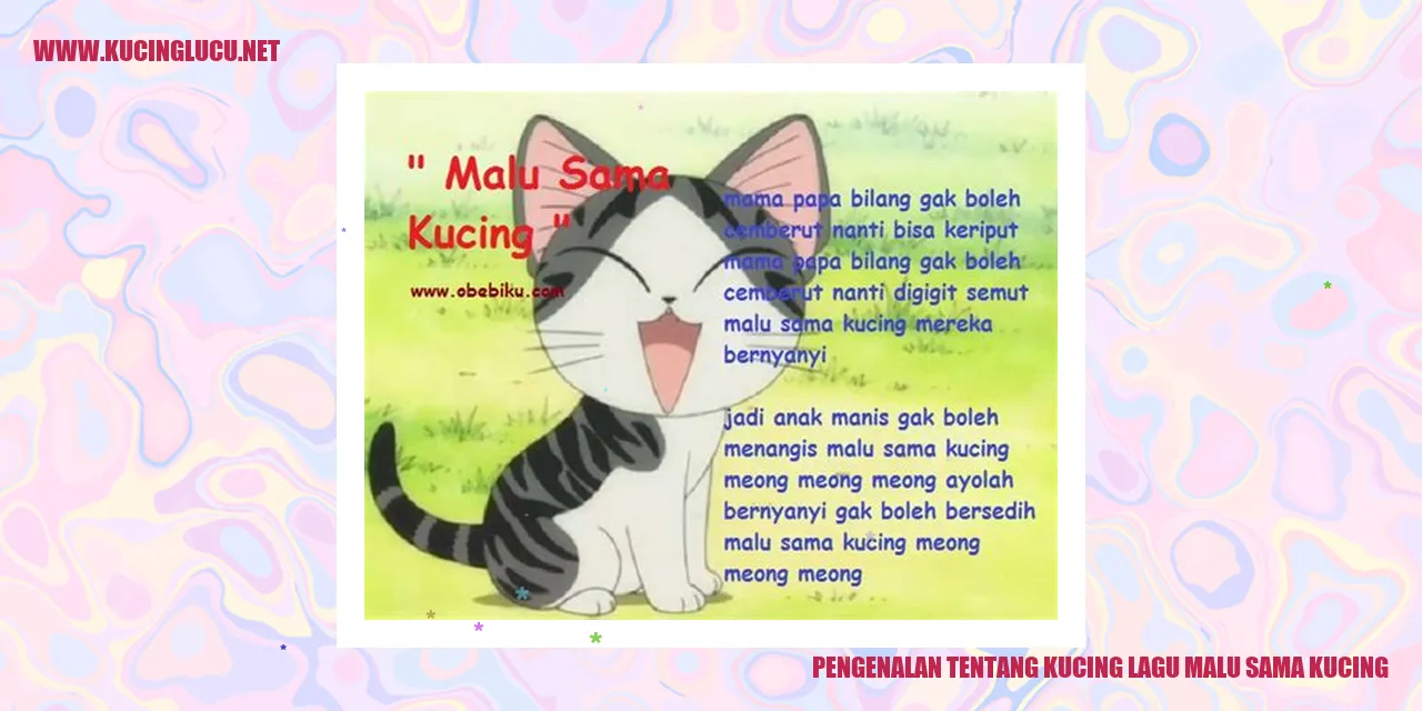 gambar kucing lagu malu sama kucing