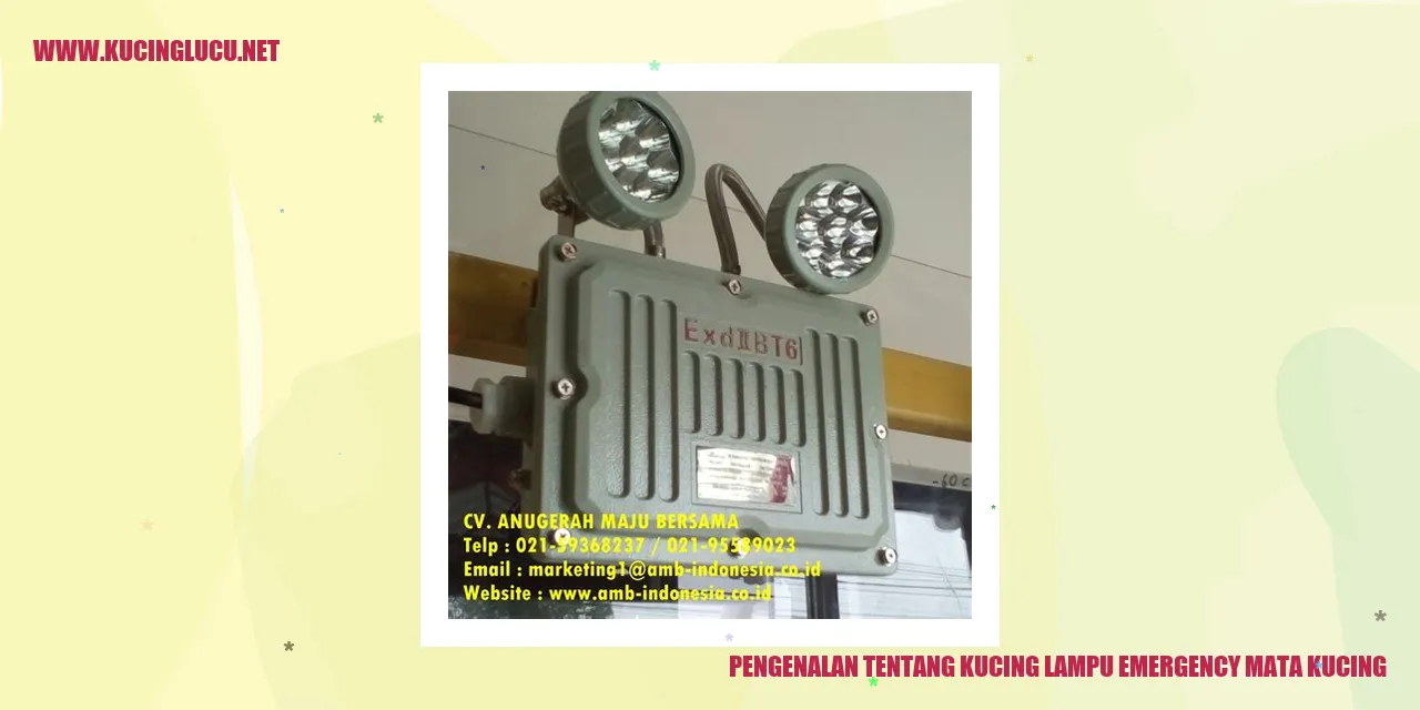 Gambar Kucing Lampu Emergency Mata Kucing