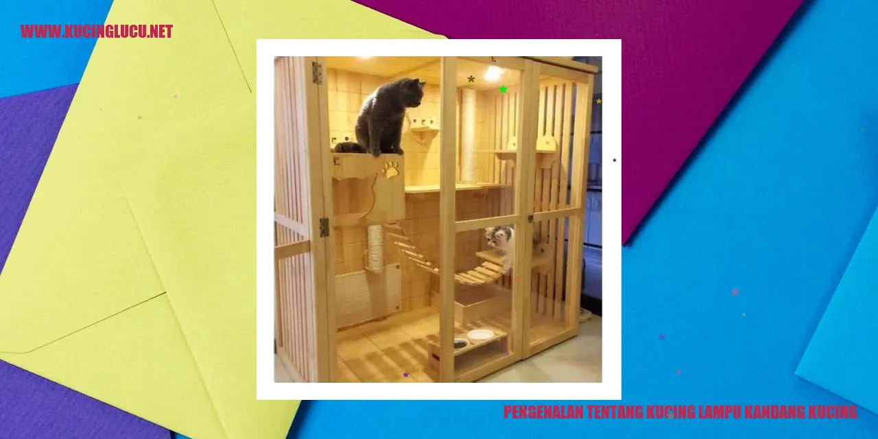 Kucing Lampu Kandang Kucing