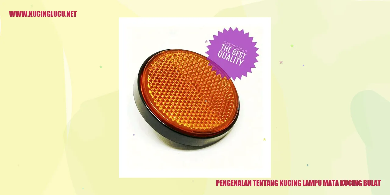 Kucing Lampu Mata Kucing Bulat