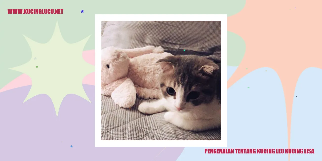 Gambar Kucing Leo dan Kucing Lisa