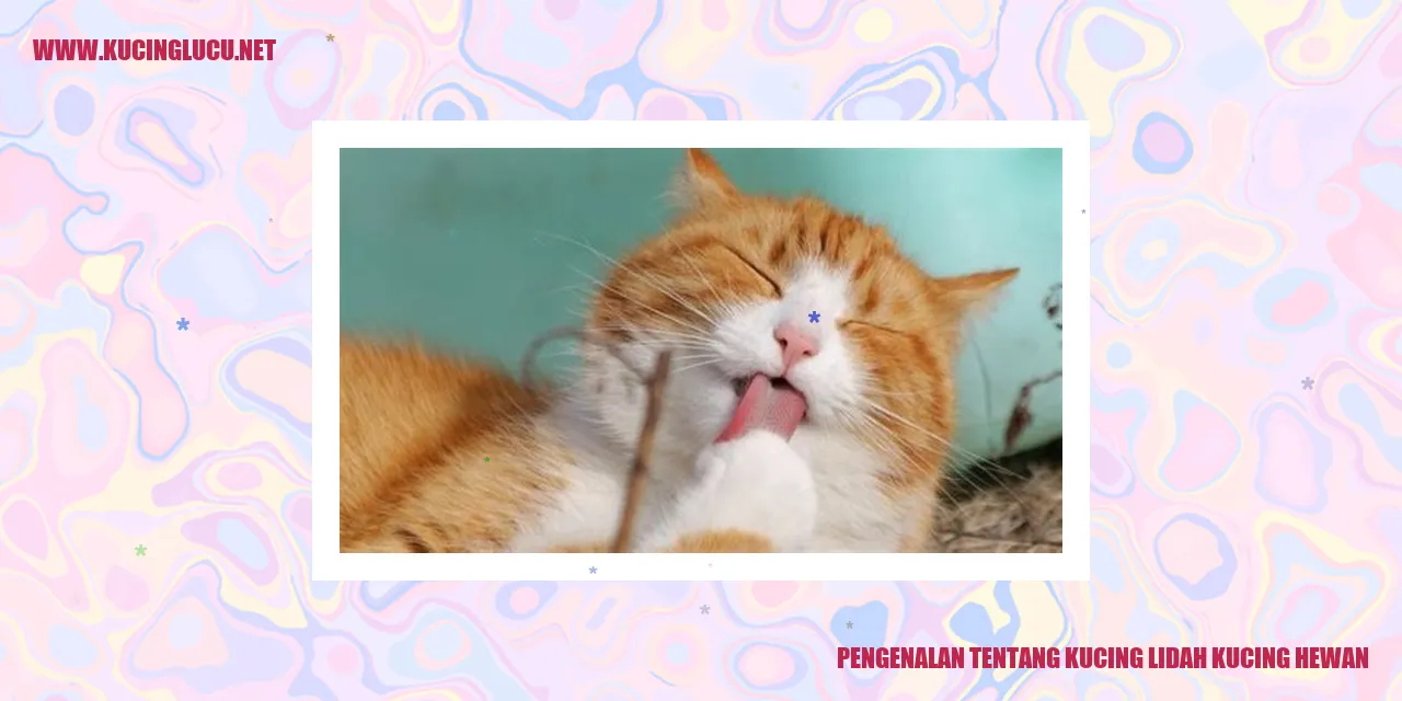Kucing Lidah Kucing