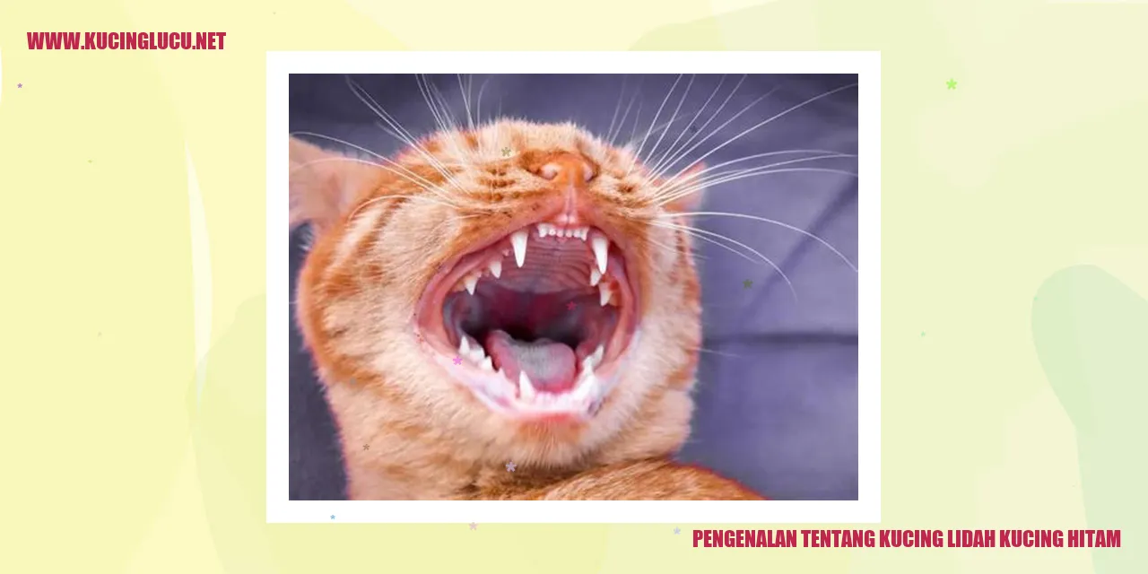Kucing Lidah Kucing Hitam