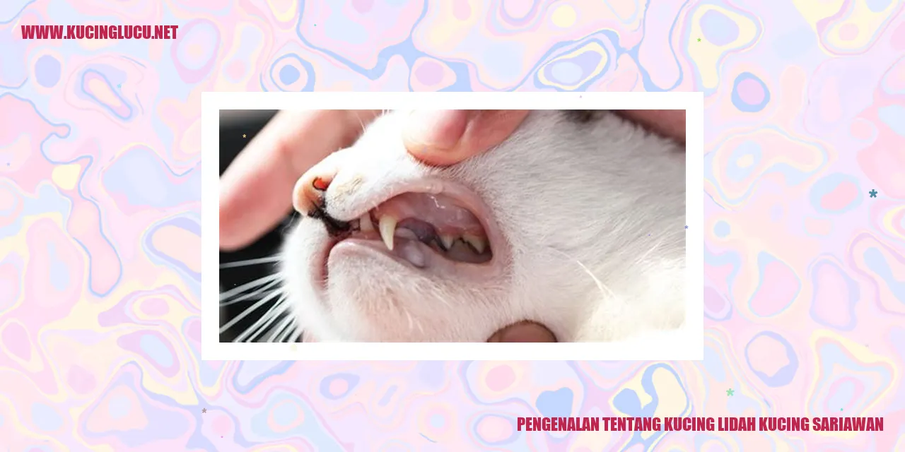 Foto Kucing lidah kucing sariawan