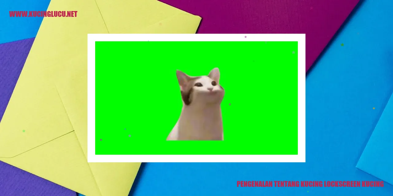Gambar Kucing Lockscreen Kucing