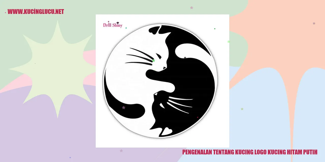 Gambar Kucing Hitam Putih