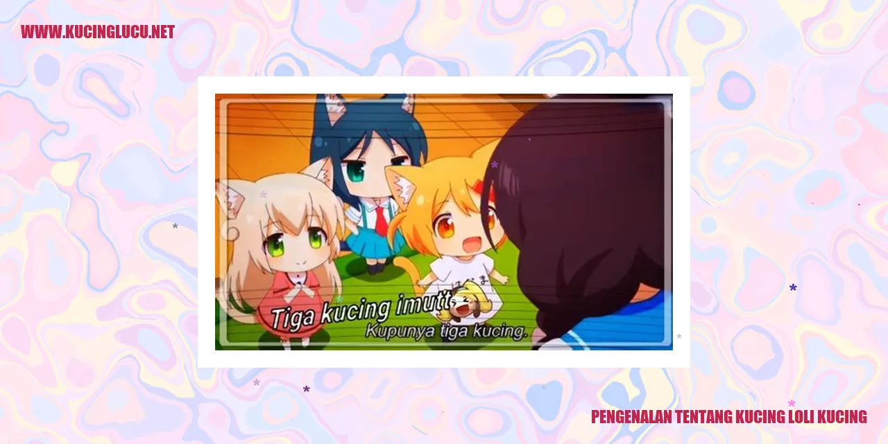 Kucing Loli Kucing
