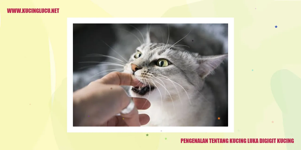 Gambar kucing yang sedang digigit